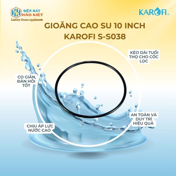 Gioăng cao su 10 inch