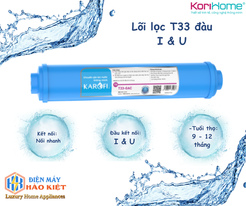 Lõi lọc T33 đàu I & U (Lõi chức năng GAC­T33 than hoạt tính nối nhanh)