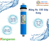 Màng RO 100 GDP Kang
