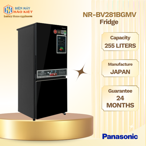 NR-BV281BGMV - Tủ Lạnh Panasonic Inverter 255 Lít
