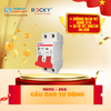 RKM2 - 80A - Cầu Dao Tự Động