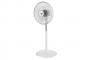 VY449690 - Quạt Đứng Asiavina 55W