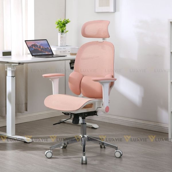 Ghế công thái học Manson E3 Lite 2