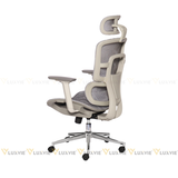 Ghế công thái học RPBBACKPRO01