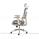 Ghế công thái học RPBBACKPRO01