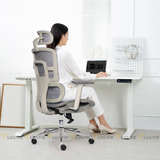 Ghế công thái học RPBBACKPRO01