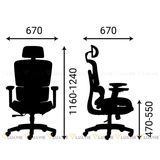 Ghế công thái học RPBBACKPRO01