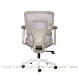 Ghế công thái học RPBBACKPRO02