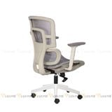 Ghế công thái học RPBBACKPRO02