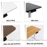 Bàn nâng hạ văn phòng MAS-SMARTDESK