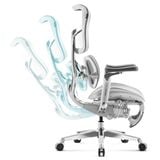 Ghế công thái học Sihoo S300