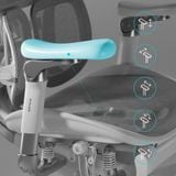 Ghế công thái học Sihoo S300