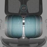 Ghế công thái học Sihoo S300