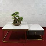 Bàn trà vuông DPBT03