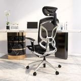 Ghế công thái học GTChair Dvary Butterfly