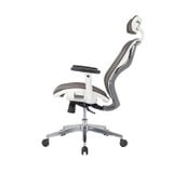 Ghế công thái học Manson Butterfly Wing