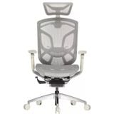 Ghế công thái học GTChair Dvary Butterfly