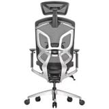 Ghế công thái học GTChair Dvary Butterfly