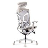 Ghế công thái học GTChair Dvary Butterfly