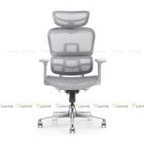 Ghế công thái học Manson Atum