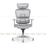 Ghế công thái học Manson Atum