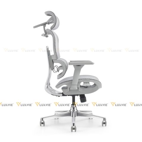 Ghế công thái học Manson Atum