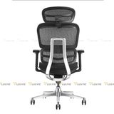 Ghế công thái học Manson Atum