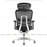 Ghế công thái học Manson Atum