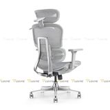 Ghế công thái học Manson Atum