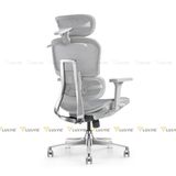 Ghế công thái học Manson Atum