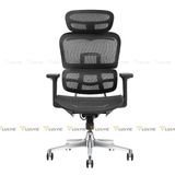 Ghế công thái học Manson Atum