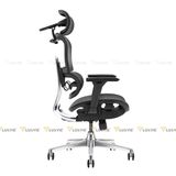 Ghế công thái học Manson Atum