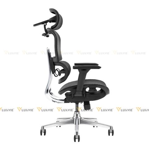 Ghế công thái học Manson Atum