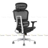 Ghế công thái học Manson Atum