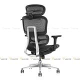 Ghế công thái học Manson Atum