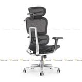 Ghế công thái học Manson Atum Pro 4.0