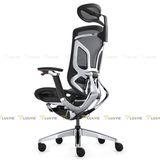 Ghế công thái học GTChair Dvary Butterfly Pro 2024