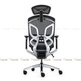 Ghế công thái học GTChair Dvary Butterfly Pro 2024