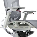 Ghế công thái học GTChair Dvary Butterfly Pro 2024