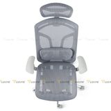 Ghế công thái học GTChair Dvary Butterfly Pro 2024