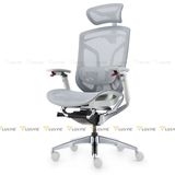 Ghế công thái học GTChair Dvary Butterfly Pro 2024