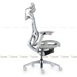 Ghế công thái học GTChair Dvary Butterfly Pro 2024