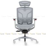 Ghế công thái học GTChair Dvary Butterfly Pro 2024
