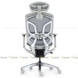 Ghế công thái học GTChair Dvary Butterfly Pro 2024
