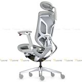 Ghế công thái học GTChair Dvary Butterfly Pro 2024