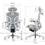 Ghế công thái học GTChair Dvary Butterfly Pro 2024