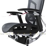 Ghế công thái học GTChair Dvary Butterfly Pro 2024