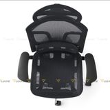 Ghế công thái học GTChair Dvary Butterfly Pro 2024