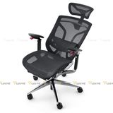 Ghế công thái học GTChair Dvary Butterfly Pro 2024