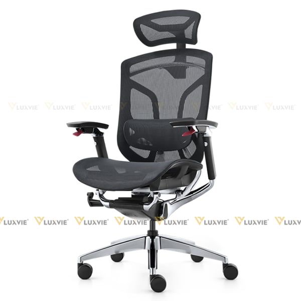 Ghế công thái học GTChair Dvary Butterfly Pro 2024